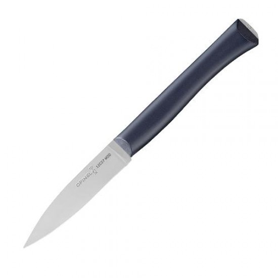 Нож столовый Opinel, Newintempor, деревянная ручка, нерж, сталь. 002223 Нож столовый Opinel, Newintempor, деревянная ручка, нерж, сталь. 002223